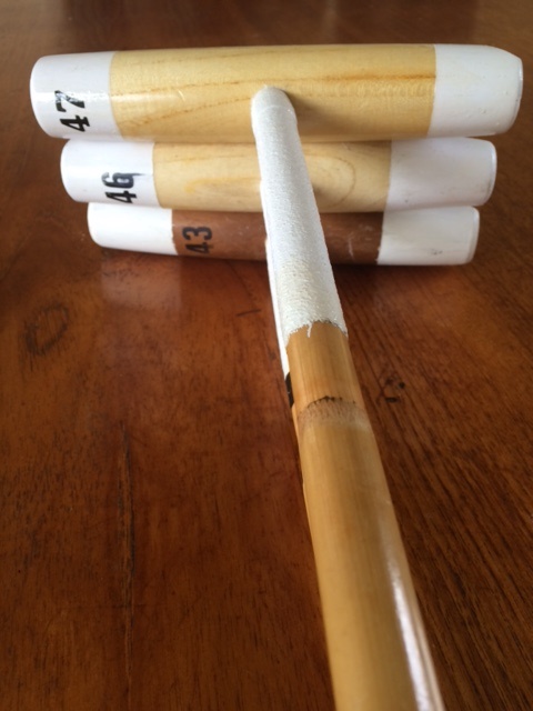 Pony Club Polo Sticks