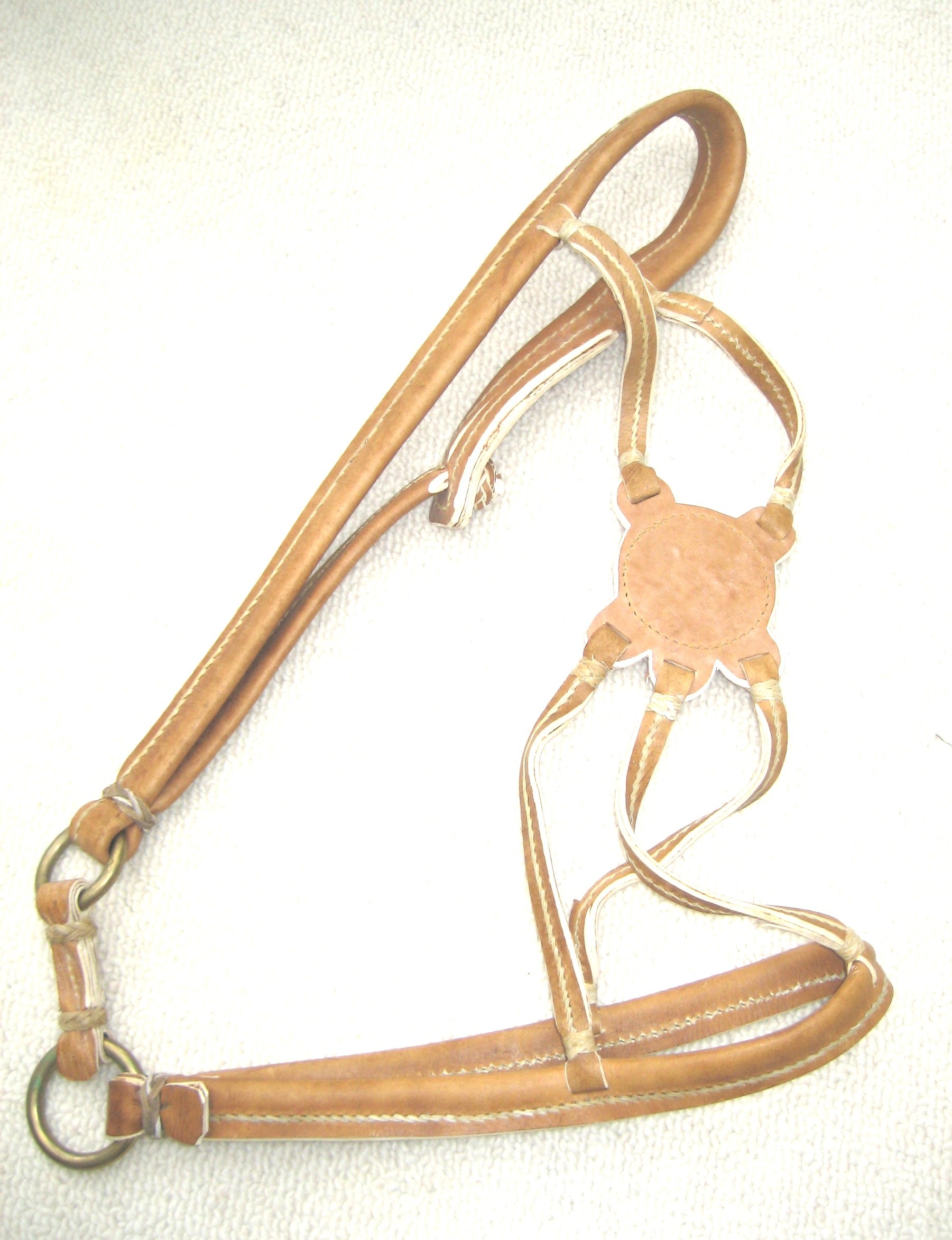 Rawhide Headcollar