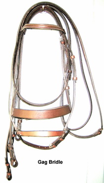 Gag Bridle