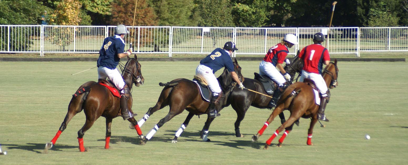 Polo Players