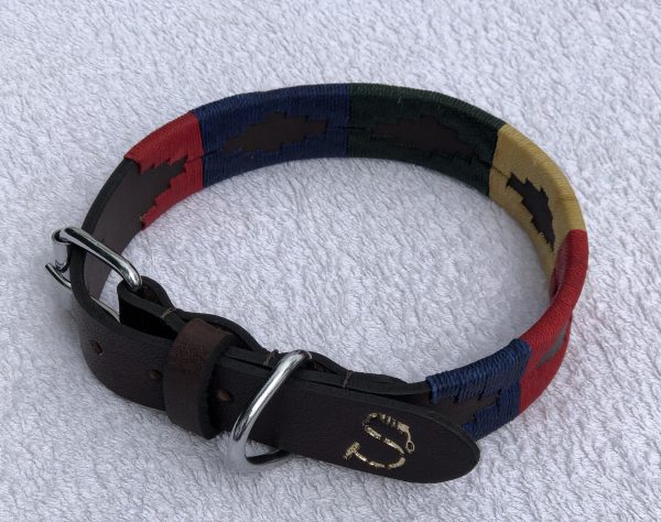 Ollie Dog Collar